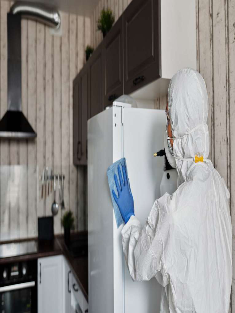 Disinfection and sanitizing